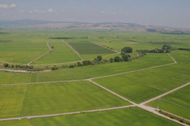 Trakya arsa arazi emlakçılığında akıllarda yer edinmeye başladım.