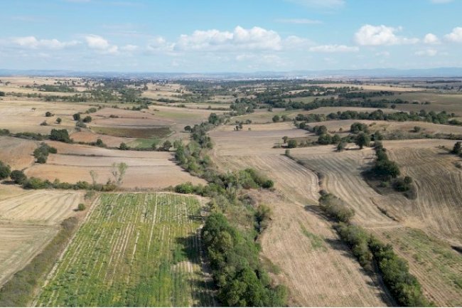 Trakya arsa, arazi emlakçılığında gözde emlakçılardan olma yolundayım