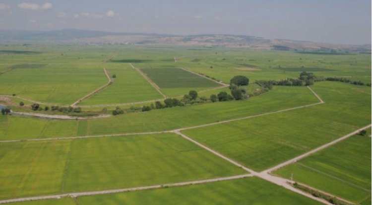 Trakya arsa arazi emlakçılığında akıllarda yer edinmeye başladım.