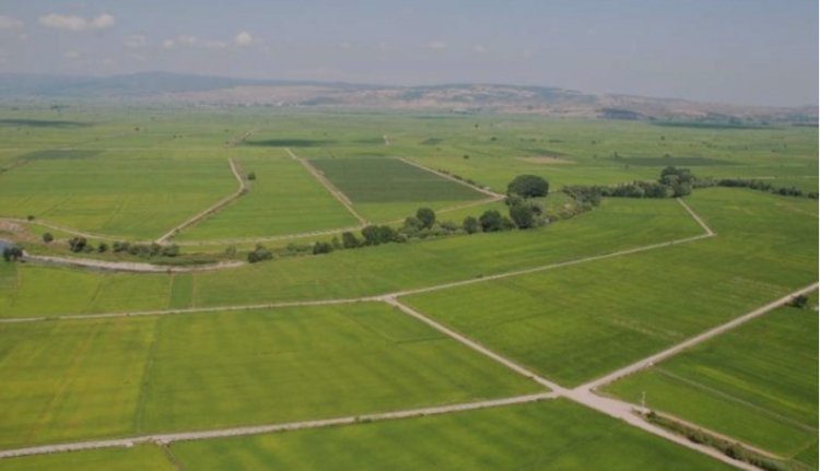 Trakya arsa arazi emlakçılığında akıllarda yer edinmeye başladım.